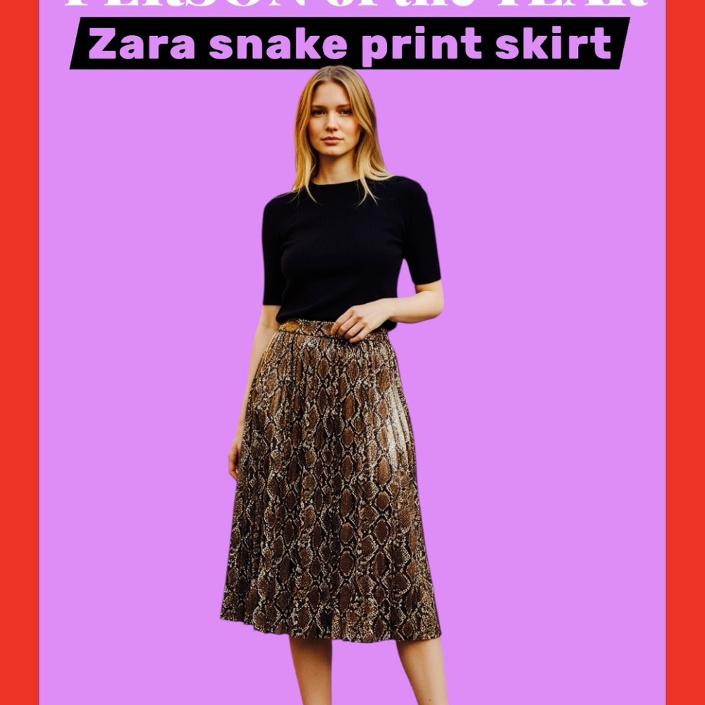 Zara Brown Snake-Print Pleated Midi Skirt - Picture 11 of 17